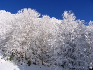 outside TOUR × Coleman『スノーシューツアー2026年2月14日(土)～ 15日(日)』開催